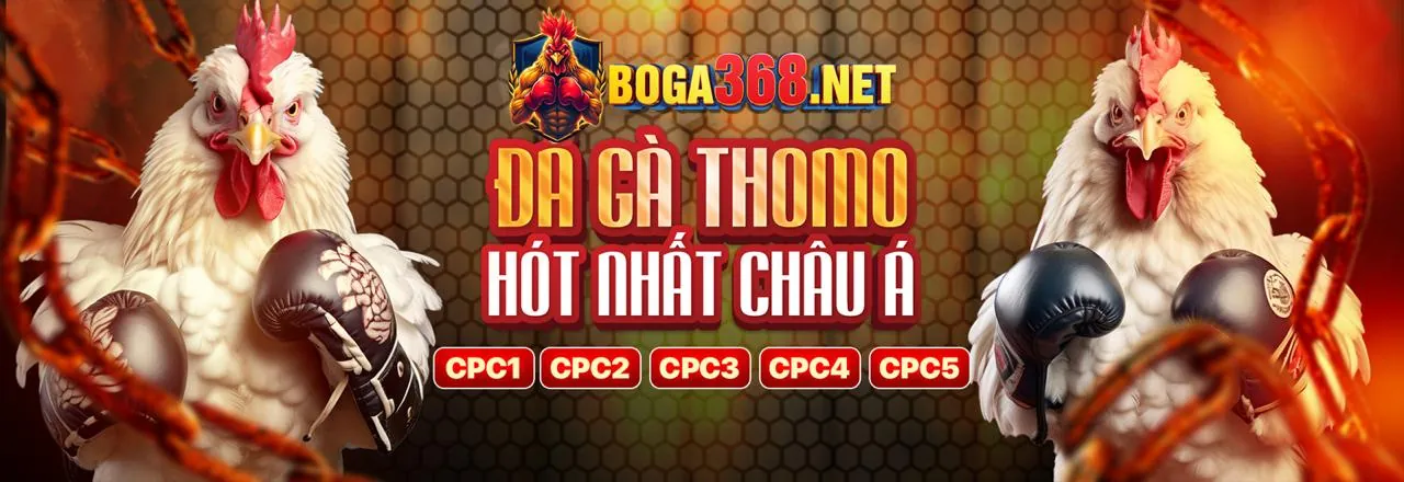 Đá Gà Thomo Trực Tuyến tại đagathomo